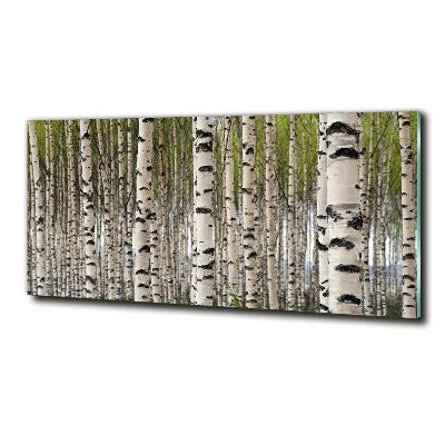 Quadro vetro Foresta di betulle