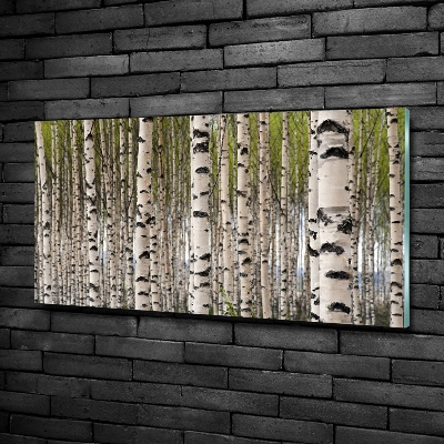 Quadro vetro Foresta di betulle