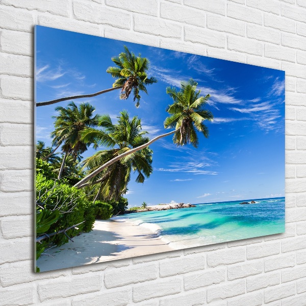 Quadro in vetro Spiaggia tropicale