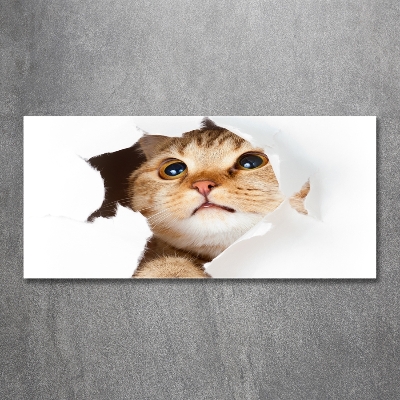 Quadro vetro Gatto in una buca