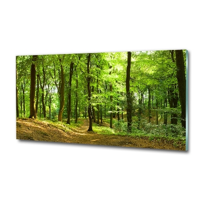 Quadro in verde Sentiero nel bosco