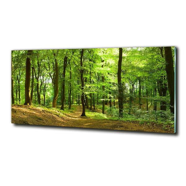 Quadro in verde Sentiero nel bosco