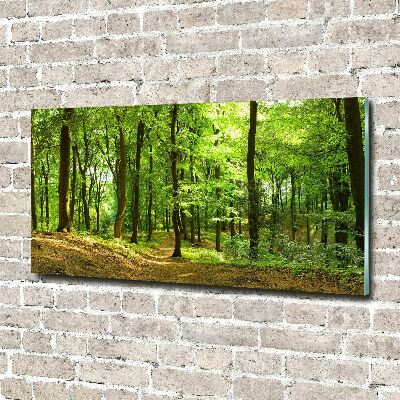 Quadro in verde Sentiero nel bosco