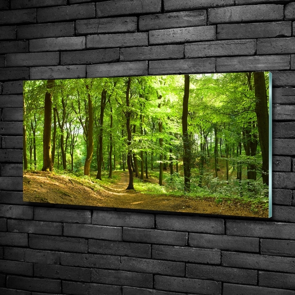 Quadro in verde Sentiero nel bosco