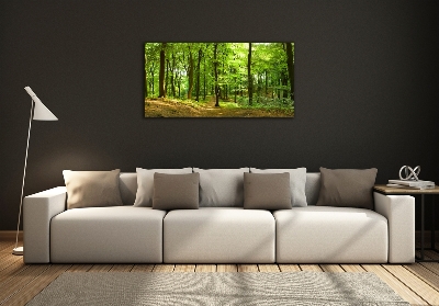 Quadro in verde Sentiero nel bosco