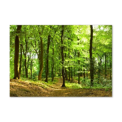 Quadro in verde Sentiero nel bosco