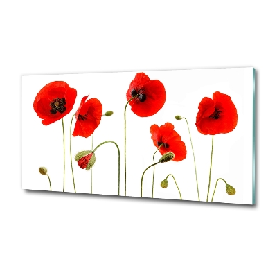 Quadro in verde Papaveri