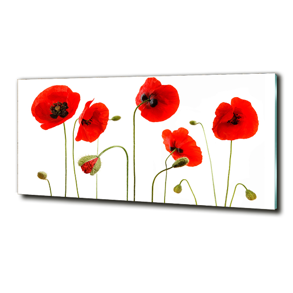 Quadro in verde Papaveri