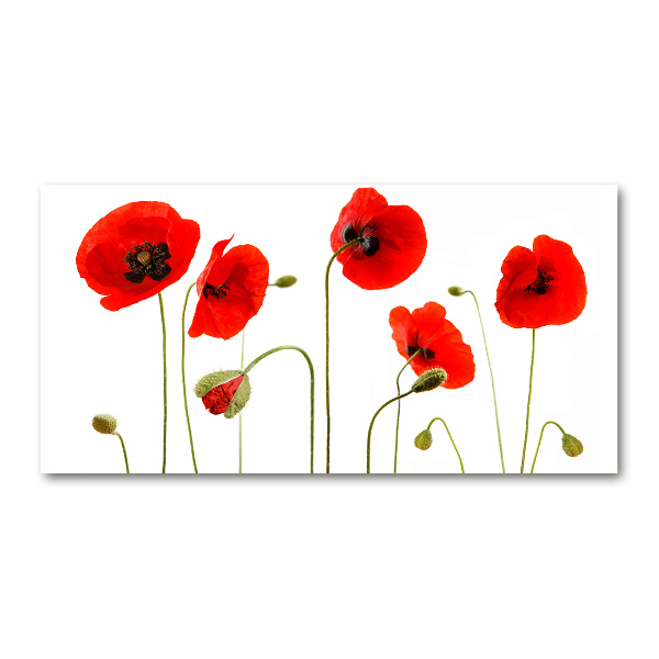 Quadro in verde Papaveri