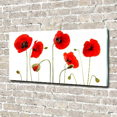 Quadro in verde Papaveri