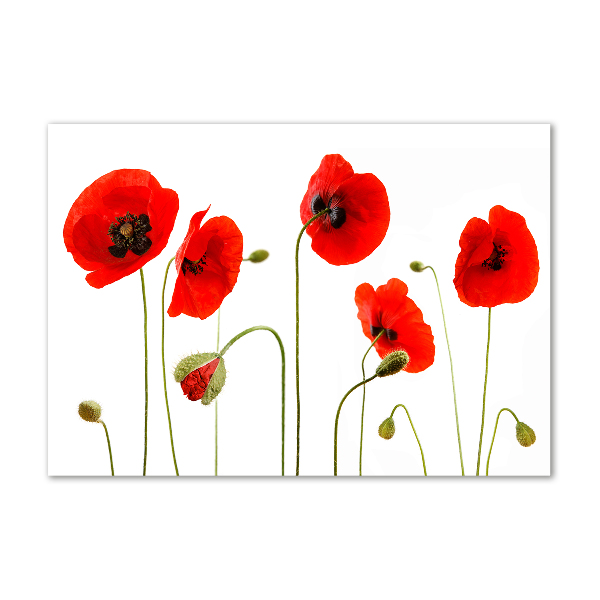 Quadro in verde Papaveri