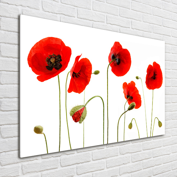 Quadro in verde Papaveri