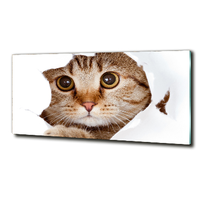 Quadro in verde Gatto