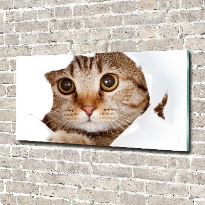 Quadro in verde Gatto