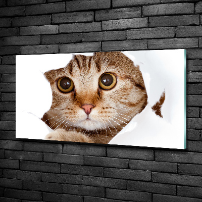 Quadro in verde Gatto