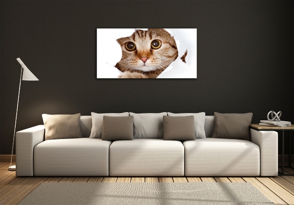 Quadro in verde Gatto