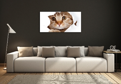 Quadro in verde Gatto