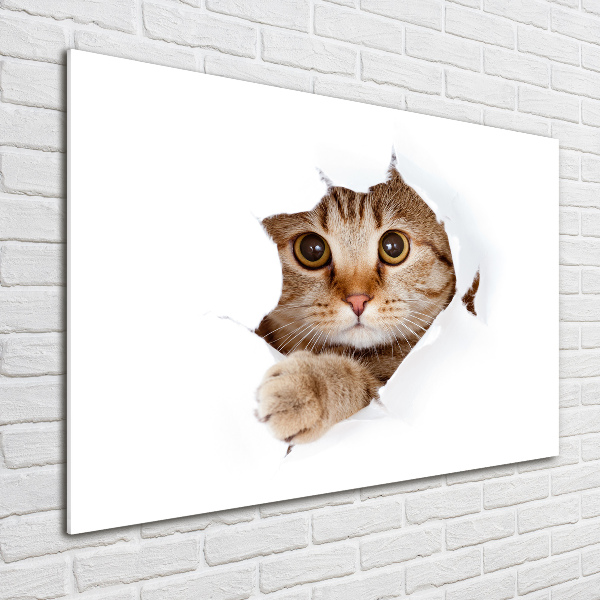 Quadro in verde Gatto