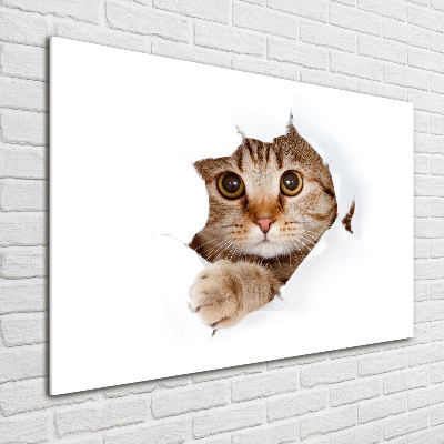 Quadro in verde Gatto