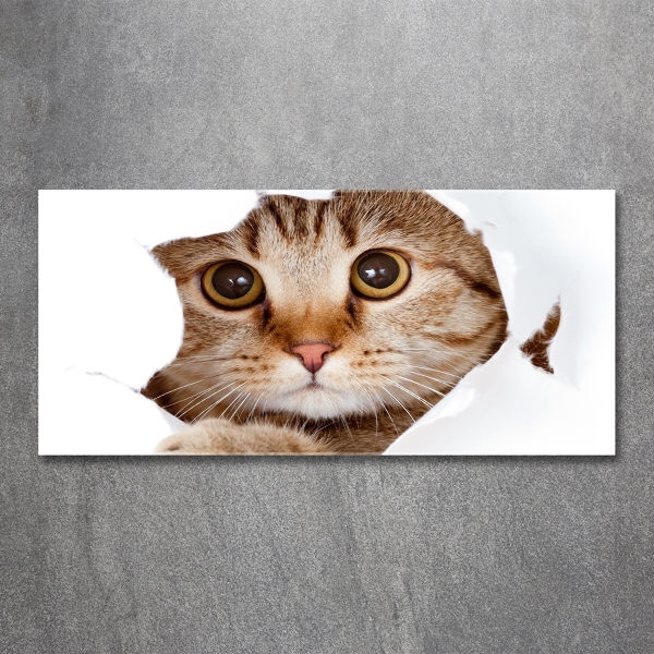 Quadro in verde Gatto