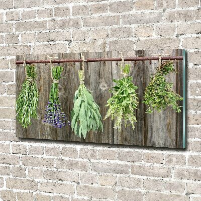 Quadro in verde Erbe aromatiche su un filo