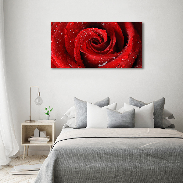 Quadro vetro Gocce su una rosa