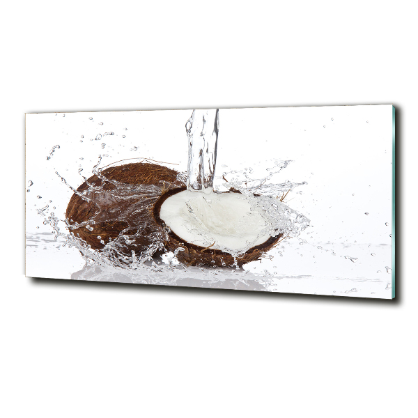 Quadro su vetro Noce di cocco