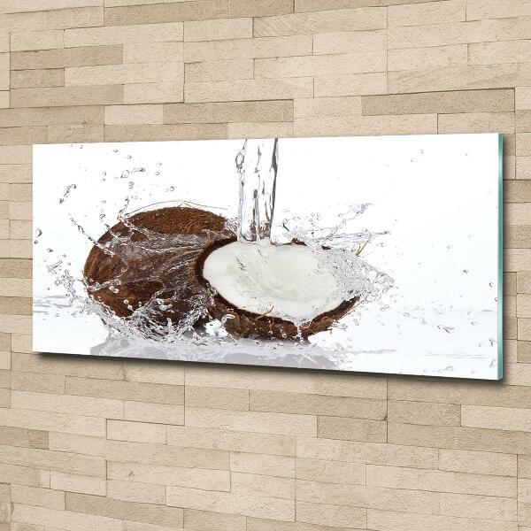 Quadro su vetro Noce di cocco