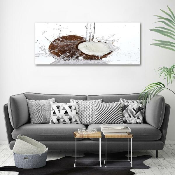 Quadro su vetro Noce di cocco