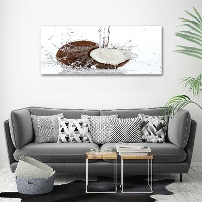 Quadro su vetro Noce di cocco