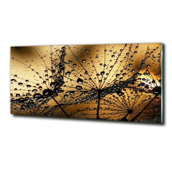 Quadro in vetro Semi di tarassaco