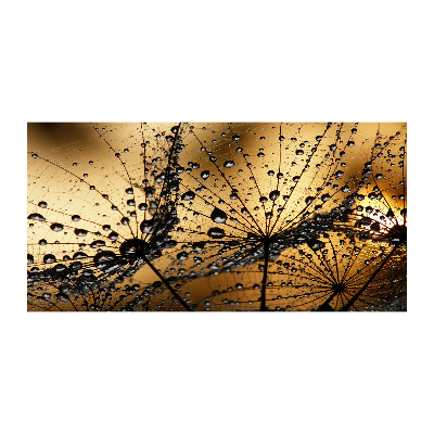 Quadro in vetro Semi di tarassaco