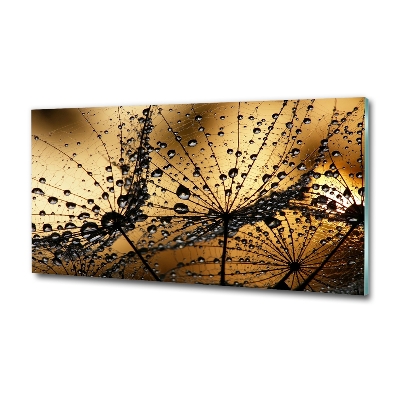 Quadro in vetro Semi di tarassaco