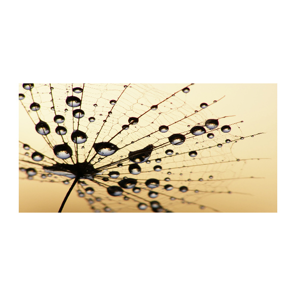 Quadro in verde Seme di tarassaco