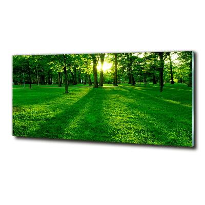 Quadro in vetro Erba nel parco