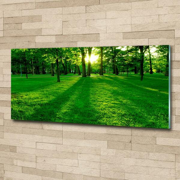 Quadro in vetro Erba nel parco