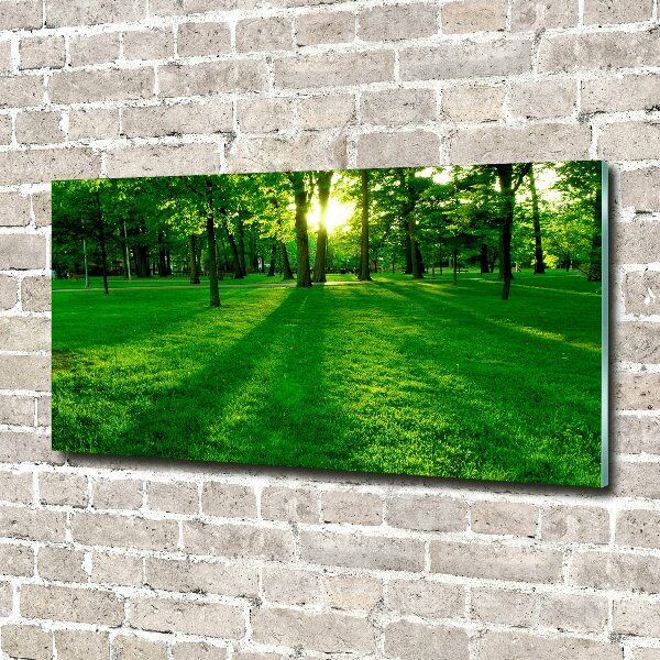 Quadro in vetro Erba nel parco