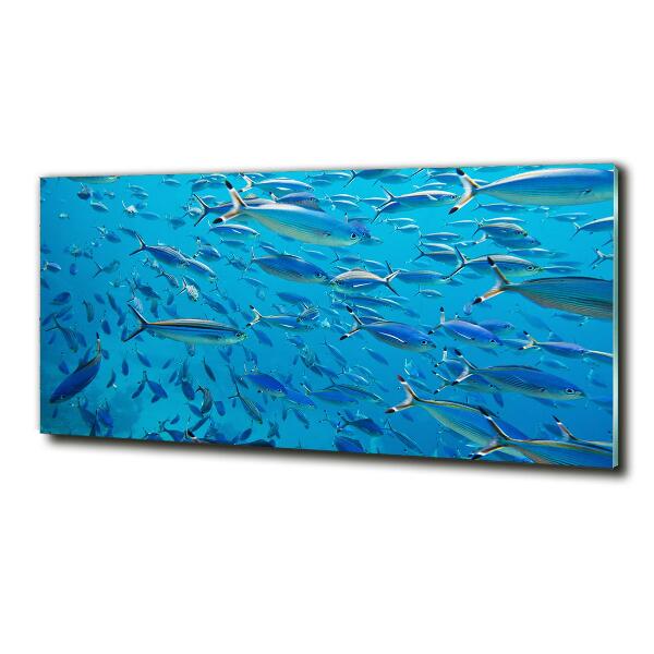 Quadro vetro Pesce corallo