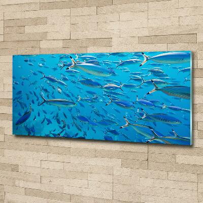 Quadro vetro Pesce corallo