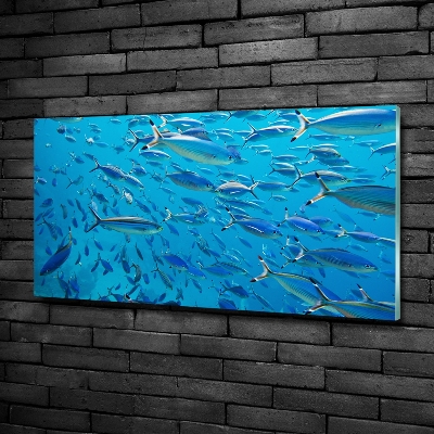 Quadro vetro Pesce corallo
