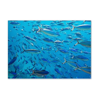 Quadro vetro Pesce corallo