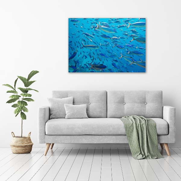 Quadro vetro Pesce corallo