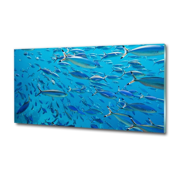 Quadro vetro Pesce corallo