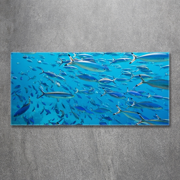 Quadro vetro Pesce corallo