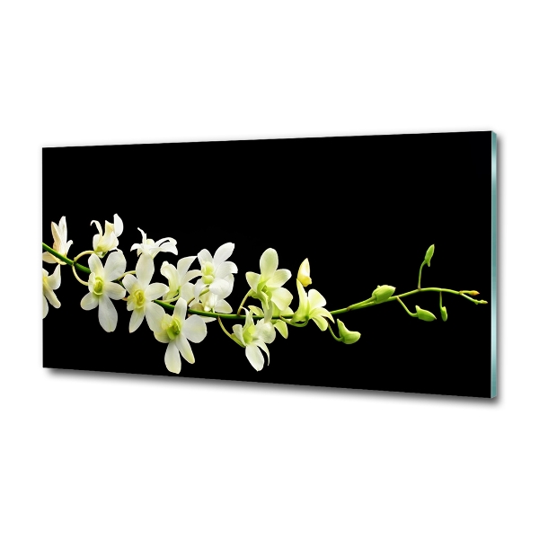 Quadro su vetro Orchidea
