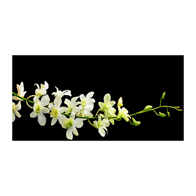 Quadro su vetro Orchidea