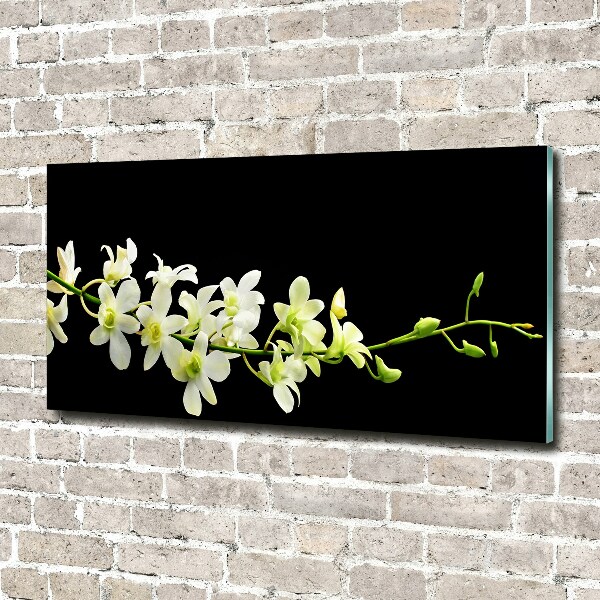 Quadro su vetro Orchidea