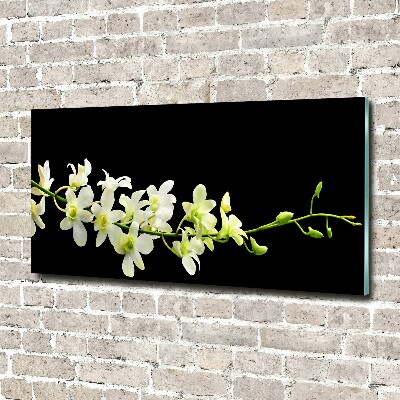 Quadro su vetro Orchidea