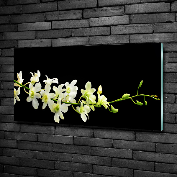 Quadro su vetro Orchidea