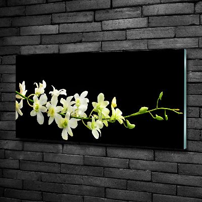 Quadro su vetro Orchidea